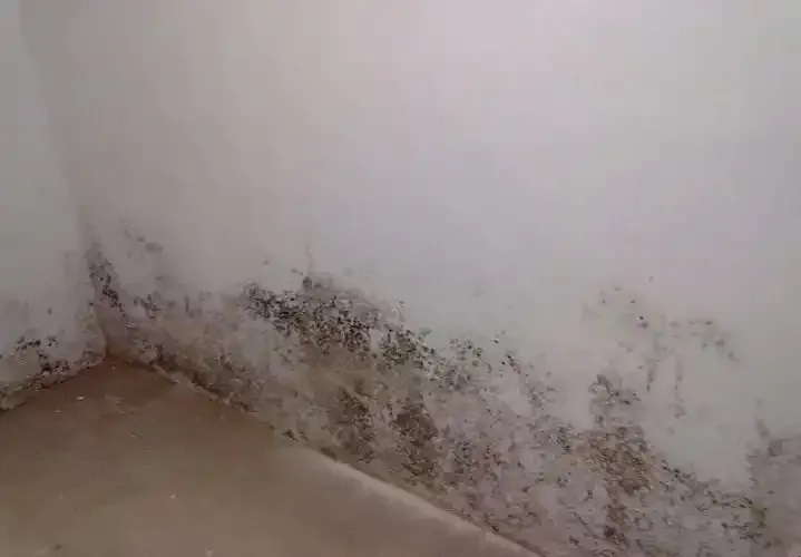 防水≠防滲！80%的人都弄錯(cuò)了！